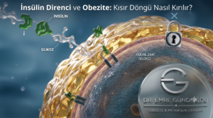 İnsülin Direnci ve Obezite: Kısır Döngü Nasıl Kırılır?